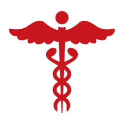Hospital Icon