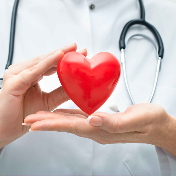 Heart Health Content Articles Heart Health Content Articles